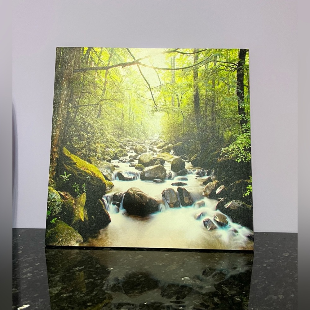 Forest Stream Canvas and Wood Frame Picture